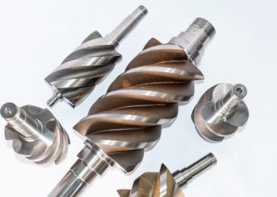 Compressori, dettaglio rotori